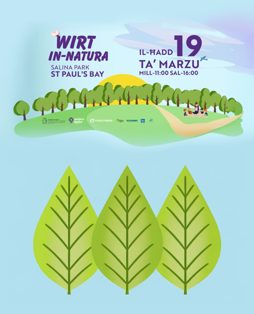 Wirt in-Natura – Salini National Park