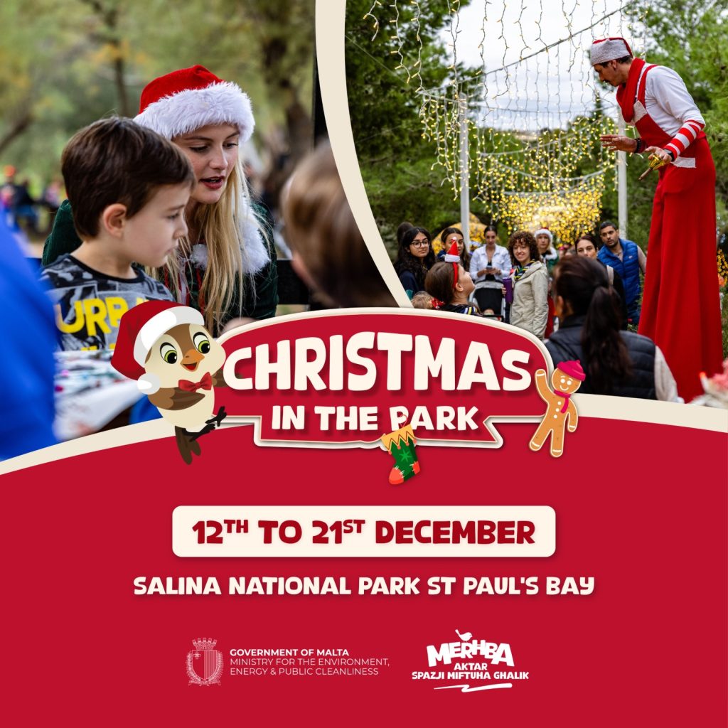 Christmas In The Park