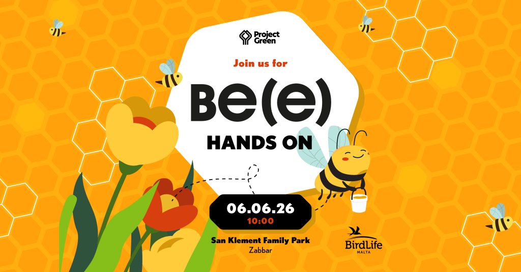 Be(e) Hands On