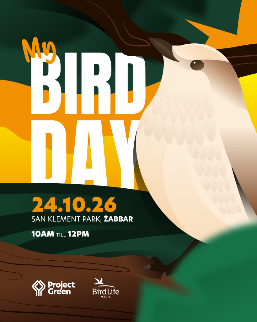 My Bird Day